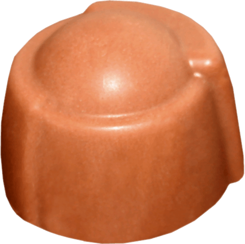 Acorn Acorn